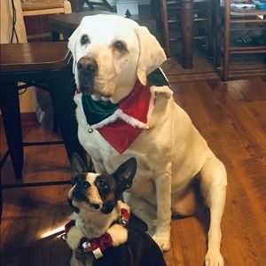 Meet your Posher, Caitlin